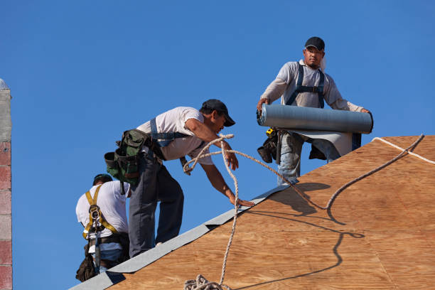 Best Sealant for Roof  in Oak Hill, OH
